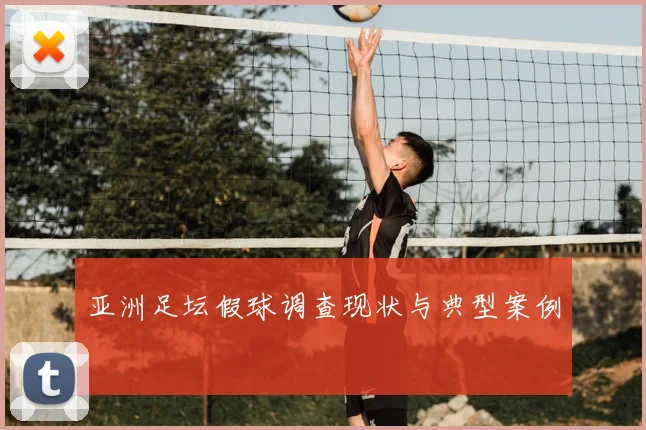 亚洲足坛假球调查现状与典型案例