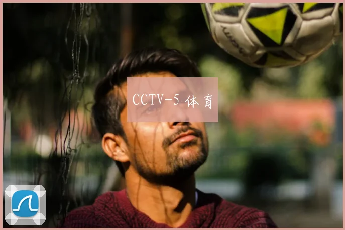 CCTV-5 体育
