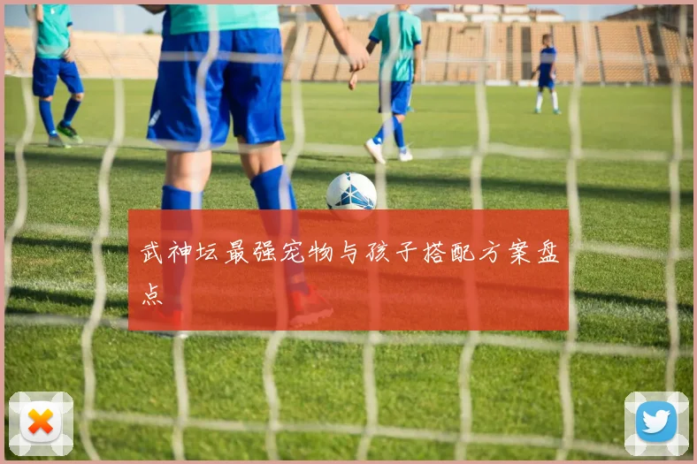 武神坛最强宠物与孩子搭配方案盘点