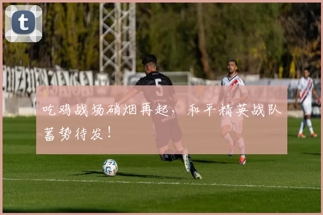吃鸡战场硝烟再起，和平精英战队蓄势待发！